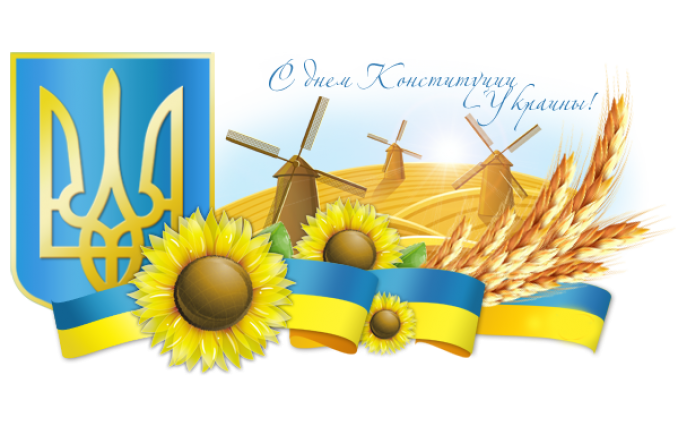 20289 den konstitucii ukraini 2016 003