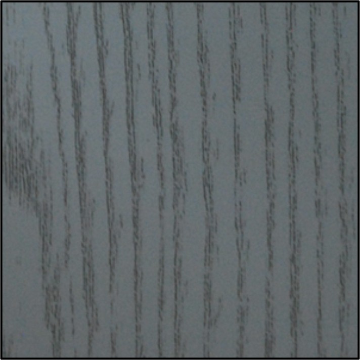 Jasen_bez_vtf0025-32.jpg